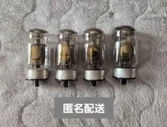 2026年最新】KT88 GOLDの人気アイテム - メルカリ