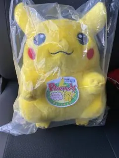 ポケットモンスター ポケモン30周年記念 おかえり！ピカチュウ1/1 即発送