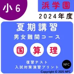 2026年最新】浜学園 小6 復習テストの人気アイテム - メルカリ