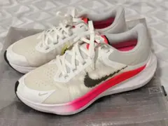 Item thumbnail for item eb28304c-e5bc-404a-afca-04b879112d36