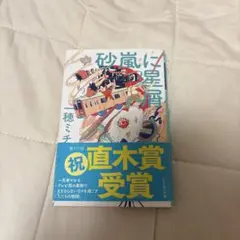 砂嵐に星屑