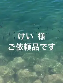 Item thumbnail for item bc2efc1d-d909-4b27-bf7e-25f675c33b0d