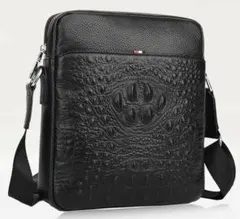 Item thumbnail for item 75e9bd8c-1662-417d-9a7a-3a513ec1bc8b