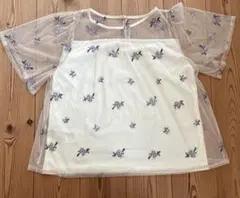 earth music＆ecology 刺繍入りシースルー半袖トップス