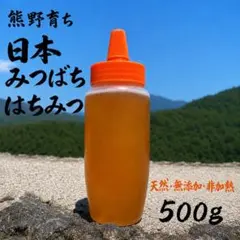 日本蜜蜂 蜂蜜 熊野育ち【天然 無添加 非加熱】500g 1個のサムネイル