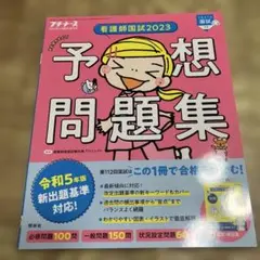 Item thumbnail for item e1ae1255-325b-4747-af3d-8d49b78d009a