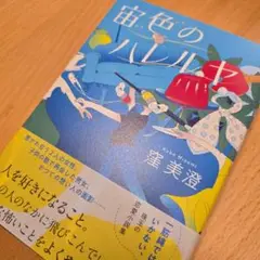 宙色のハレルヤ　窪美澄