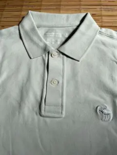 未使用Abercrombie & Fitch ポロシャツ グリーン グラナイトLのサムネイル