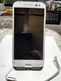 Item thumbnail for item b4d20a45-137c-4662-839c-1a568c742784