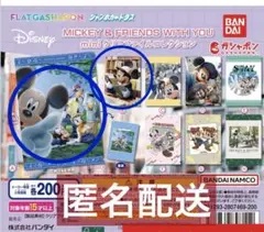 ミッキー&フレンズ ミニクリアファイル