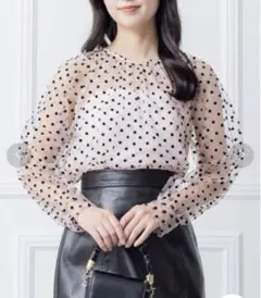 【美品】⭐️新品タグ付き⭐️clear シアードットブラウス　レース