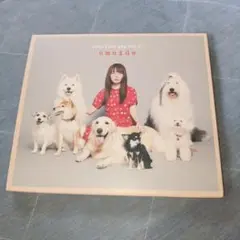 aiko　Love Like POP17
