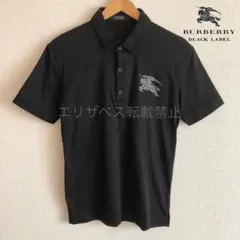 現行✨美品》バーバリー TBモノグラム ストライプ ポロシャツ ロゴ 