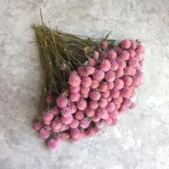 ドライフラワー インテリア