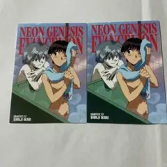 新世紀エヴァンゲリオン カードダス マスターズ 碇シンジ 渚カヲル2枚セット