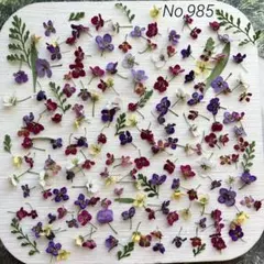 No,985 アリッサム140輪＋α　ドライフラワー花材