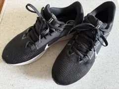 Item thumbnail for item fcfe0fa7-899a-490f-97f1-6b47ed5cef2f