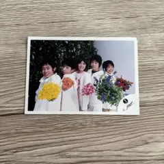 2026年最新】辰巳雄大 写真の人気アイテム - メルカリ