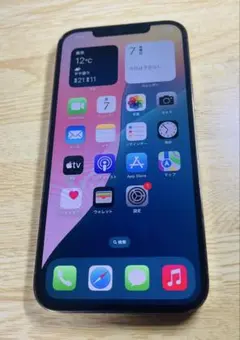 iphone 12 pro max 256gb