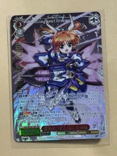 ヴァイスシュヴァルツ