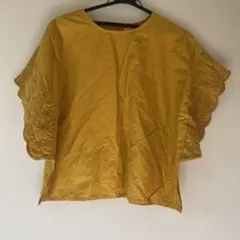 Item thumbnail for item e9b87341-97cd-4945-8a9e-d2d234b8b8fd