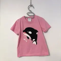 KOBE SUMA SEA WORLD シャチ柄 Tシャツ ピンク110センチ