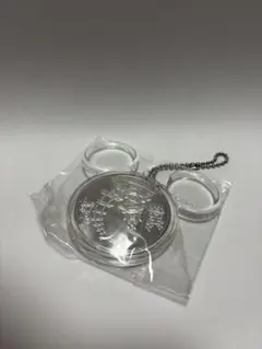 ディズニーシー　メダル　キーホルダー　記念のサムネイル