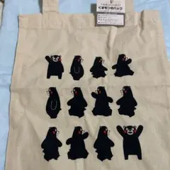 Item thumbnail for item 1b08613d-5237-431c-b37c-c1fc6689657d