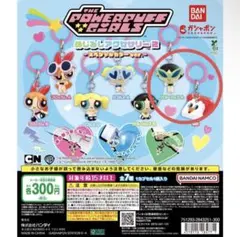 パワーパフガールズ めじるしアクセサリー2
