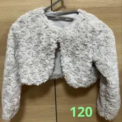 branshes ボレロ　120cm