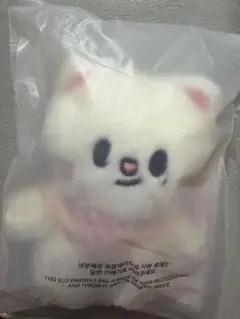 stray kids スキズ ジニレット 10cmぬいぐるみ