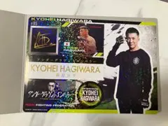 RIZIN ジャンボシールダス