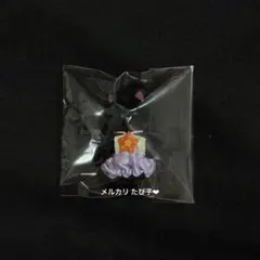 【匿名配送】 シルバニア ゆめいろパレード ほしぞらネコ 赤ちゃん