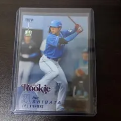 柴田獅子/75シリホイル ルーキー トレーディングカード