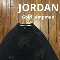 希少！！【JORDAN】ジョーダン　NIKE ゴールドロゴ ブラックスウェット
