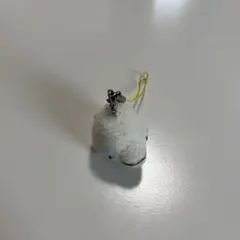 シロイルカ ぬいぐるみ マスコット キーホルダー