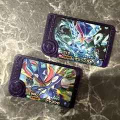 ポケモン フレンダ ウェーニバル ゲッコウガ