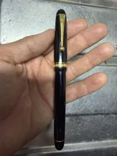 筆記未確認 PILOT CUSTOM GRANDEEカエデ万年筆 ペン先18金 - メルカリ