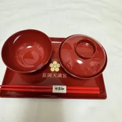未使用　お食い初め用赤い食器セット
