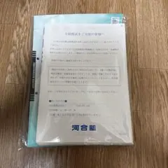 非売品未使用】新海誠サイン入り 天気の子てるてる坊主 - メルカリ