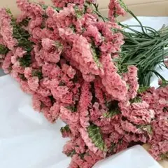 peco様 リクエスト 2点 まとめ商品