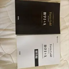 Focus Gold 数学I+A 5th Edition