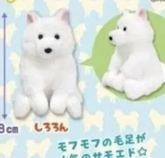 くったりサモエドくん ごきげん マスコット