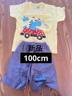 恐竜プリントTシャツとショートパンツセット 100cm