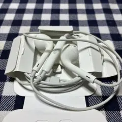 Apple EarPods 互換　ライトニング