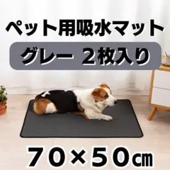 Item thumbnail for item 0e0597fb-dbe3-4744-96a3-bcef90753add