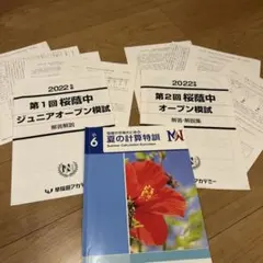 Item thumbnail for item cd77212a-e1bb-40db-a05e-dd3dce41b8d3