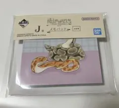 一番くじ 爬虫類と両生類 J賞 メモパッド