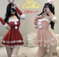 レッドサンタコスプレ 5点セット