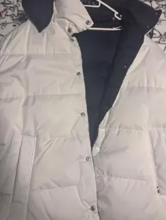 Item thumbnail for item 56f450a9-388d-4b70-9aca-f33ead12327a